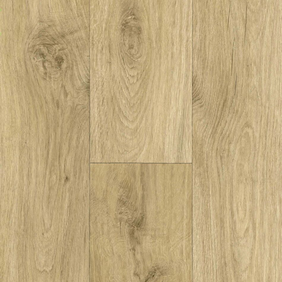 Линолеум MAXIMA PLUS/OHRID OAK S 53/591-15/4,0 м