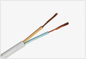 Провод ШВВП 2х0,50 ТМ Молдавкабель