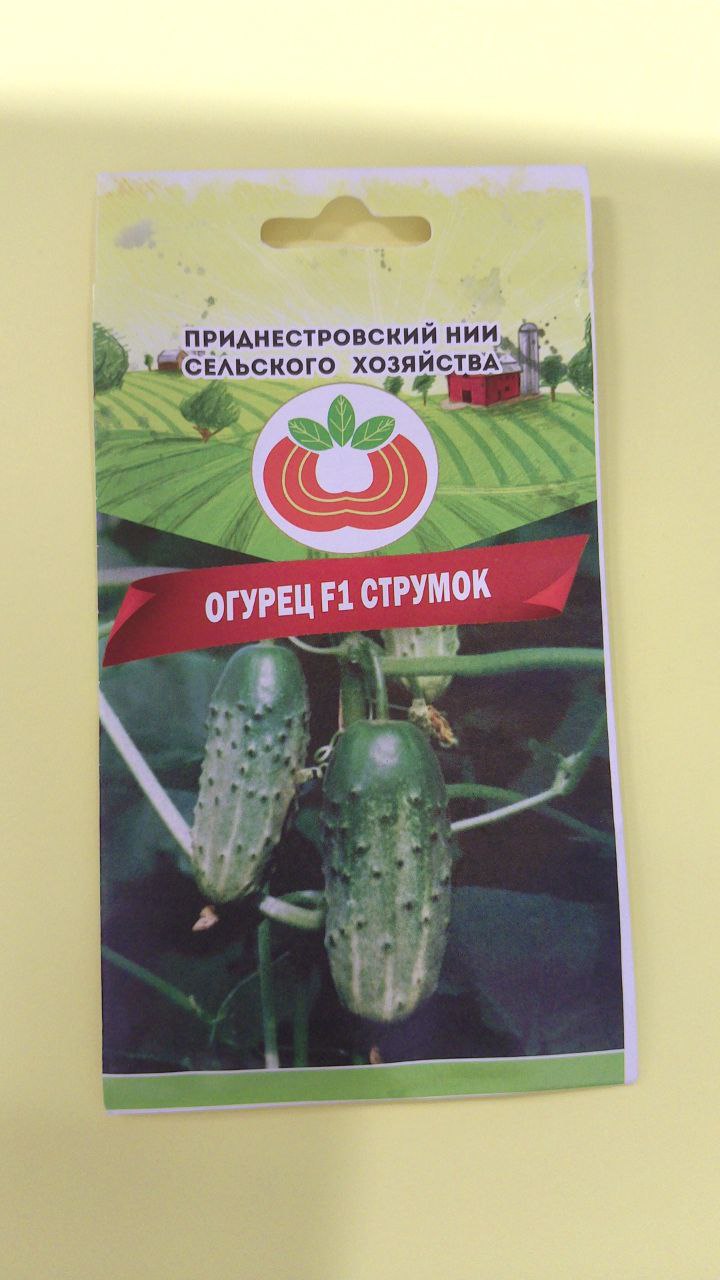 Семена огурца Струмок (1,0г)