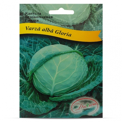 Семена Капусты белая Глория (5гр)