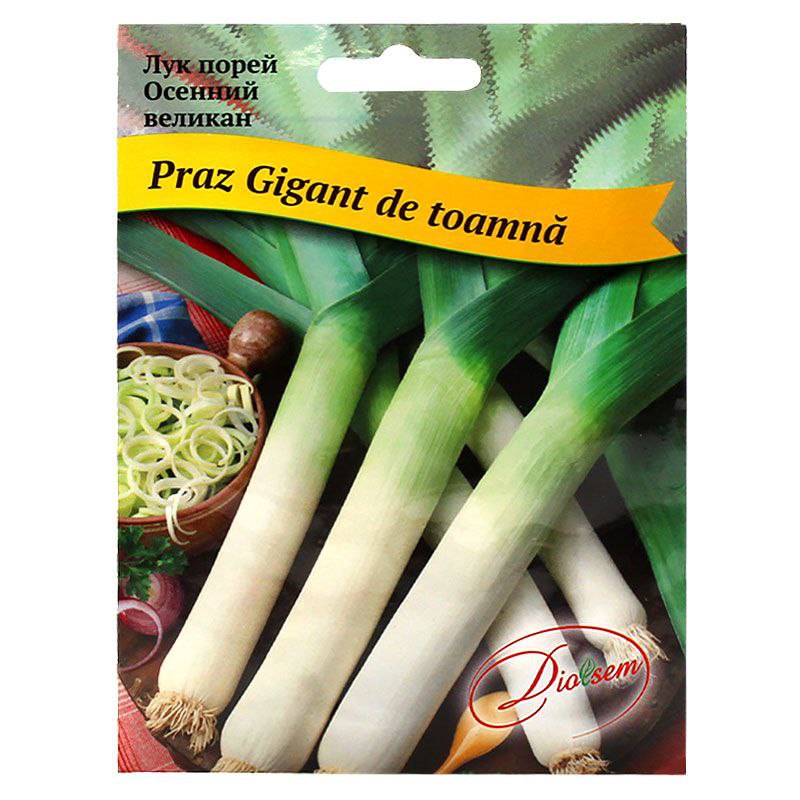 Семена Лук Парей (Праж) гигант (4гр)