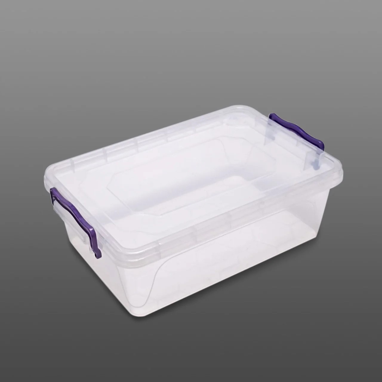 Контейнер д/хранения 300мл пластик 0457 Violet