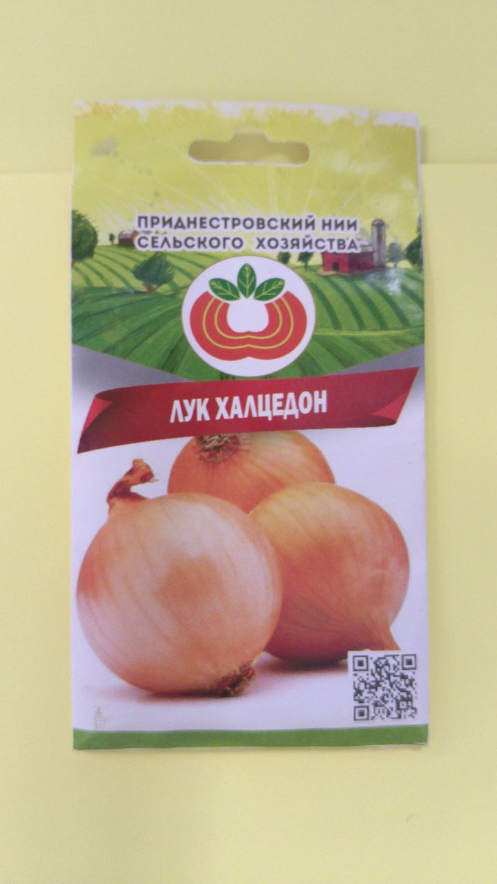 Семена лука Халцедон (3г)