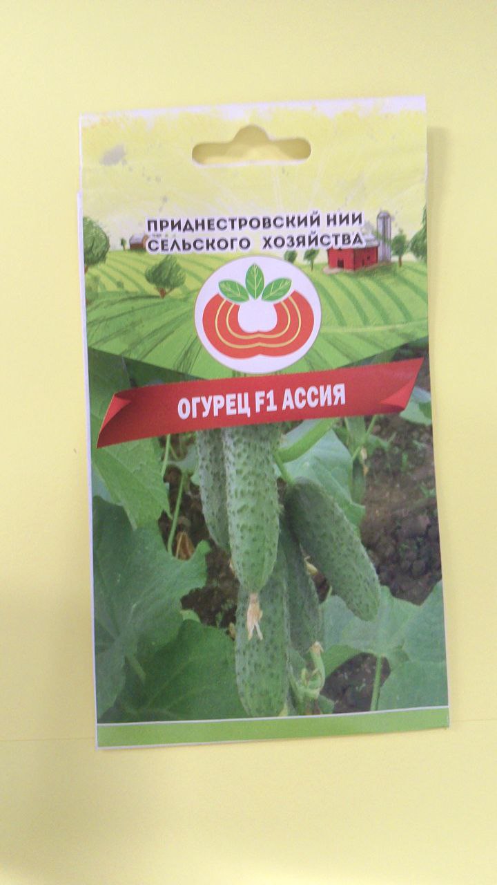 Семена огурца Ассия (0,5г)