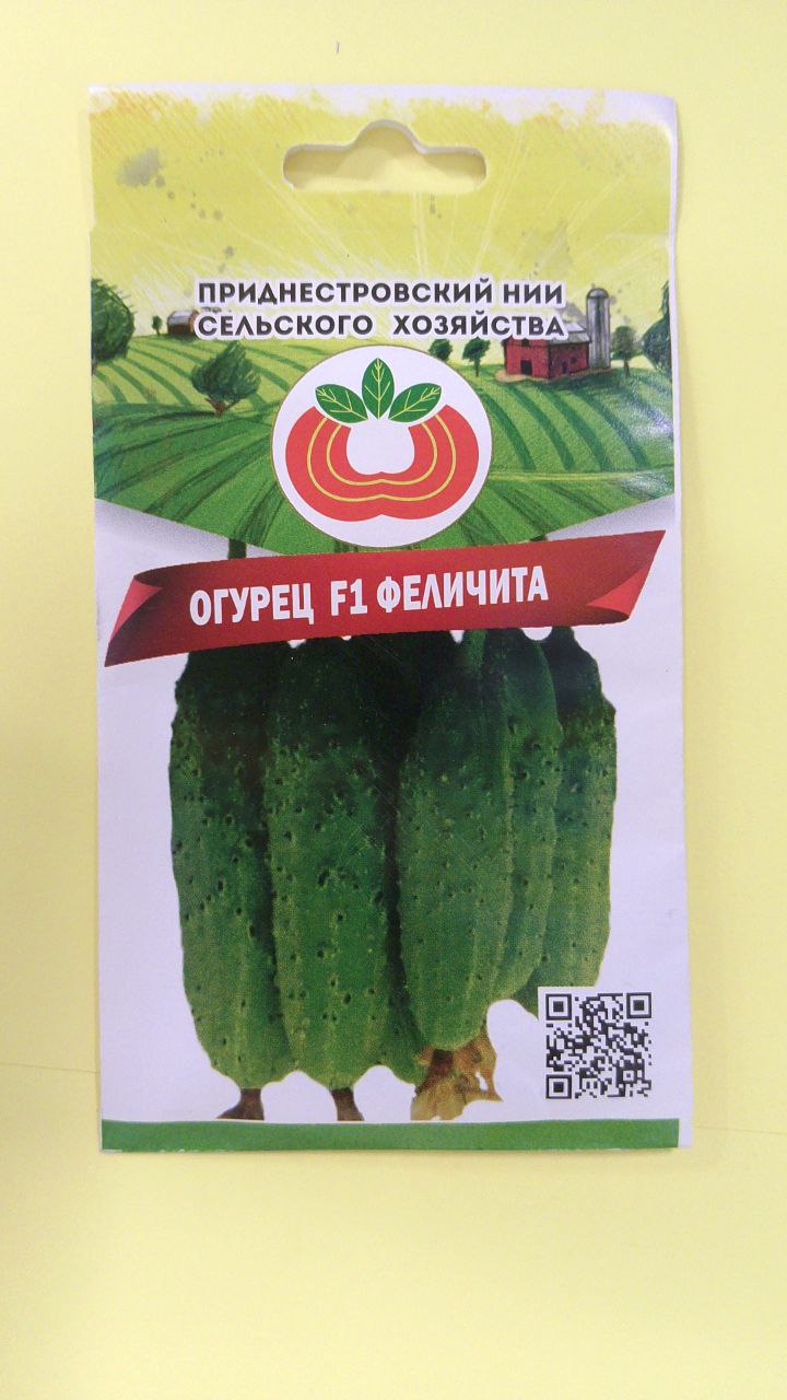Семена огурца Феличита (0,5г)