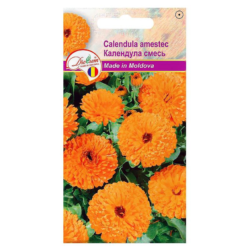 Семена Цветов Euro Cflendula Amestic (0,05гр) (Календула смесь)