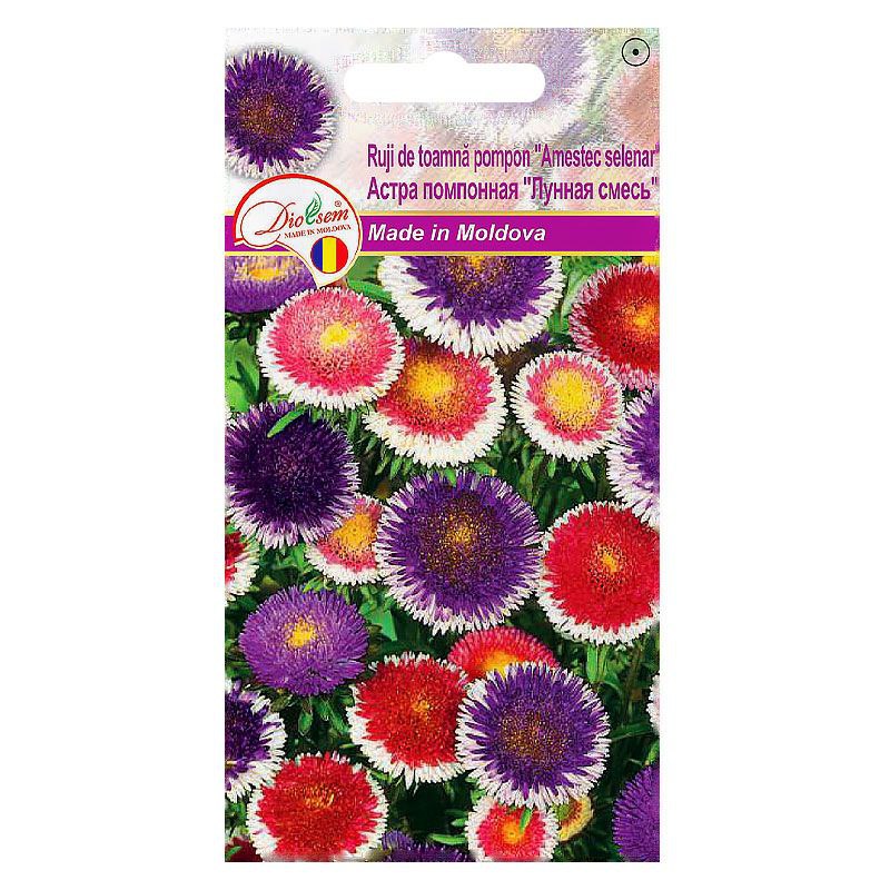 Семена Цветов Euro Ruji de toamna Pompon Amestic (Астра помпонная Луная смесь) (0,2гр)