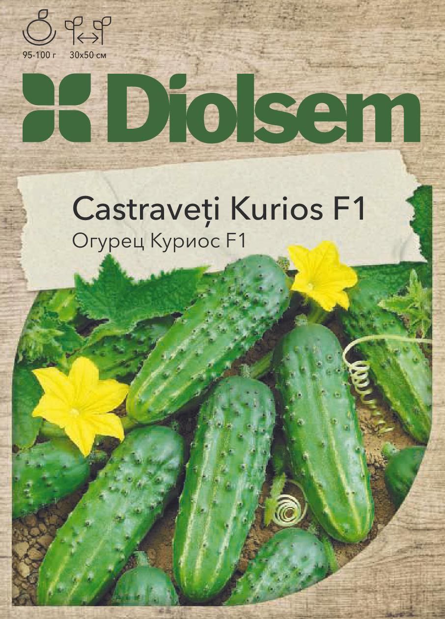 Семена Огурцы Конкурент (куриос) (5гр)