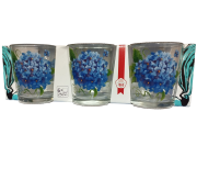 Набор стаканов 250мл 6ед. (05с1249) Ода, Гортензия