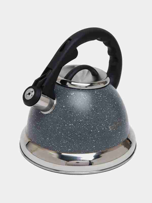 Чайник нерж. цвет.3.5л Golden Ruler V1201