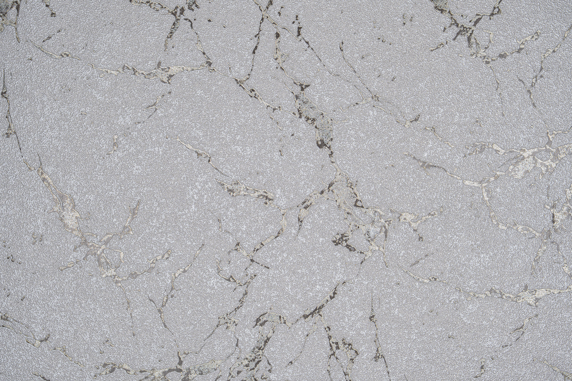 Обои виниловые на флизелиновой основе 3829 10/9