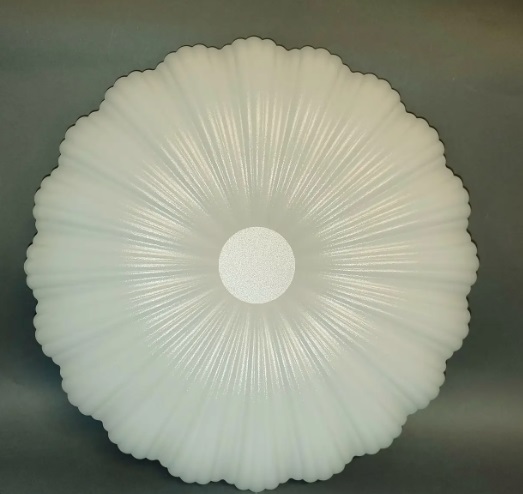 Светильник светодиодный Biom DL-R605-30 5000K 30Вт без д/у