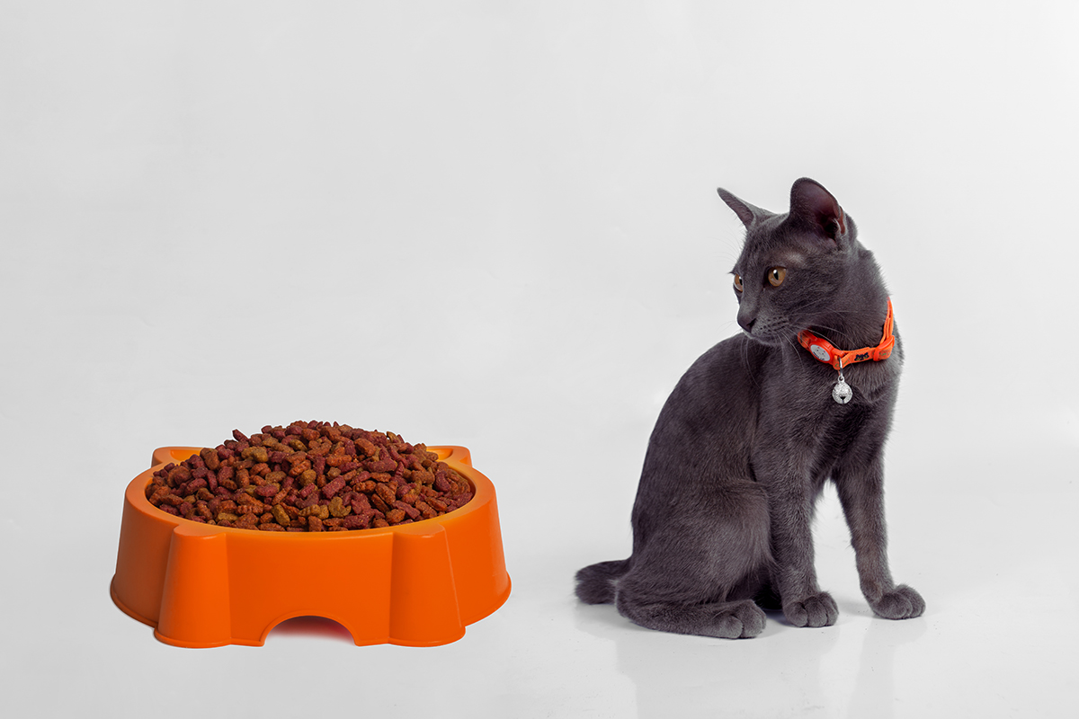 Корм сух.BestCh.д/к индейк.400