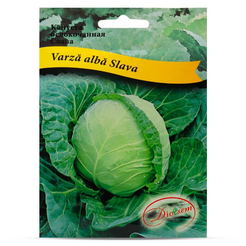 Семена Капусты белая Слава (5гр)