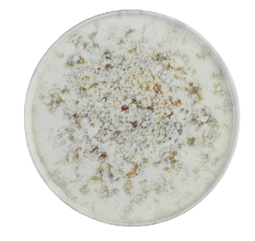 Тарелка плоская без полей (d210мм, h24мм, Д2) фарфор, серая KUTAHYA Unearth BNTS21DU890550