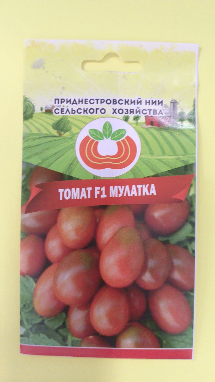 Семена томата Мулатка (0,1г)