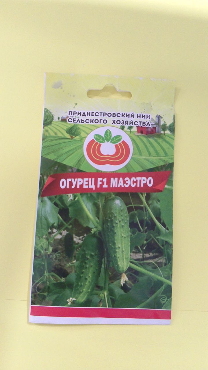 Семена огурца Маэстро (0,5г)