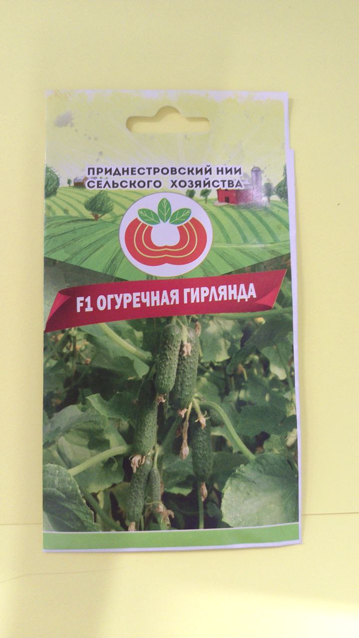 Семена огурца Ог.гирлянда (0,5г)