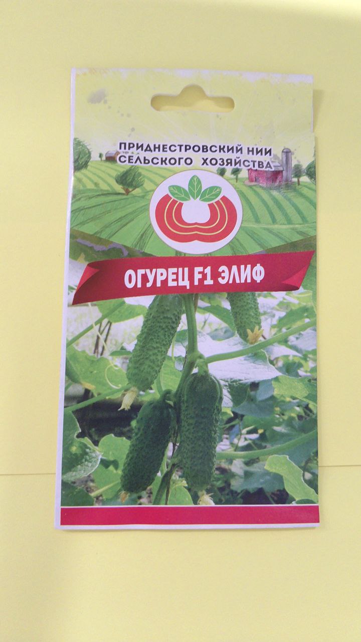 Семена огурца Элиф (0,5г)