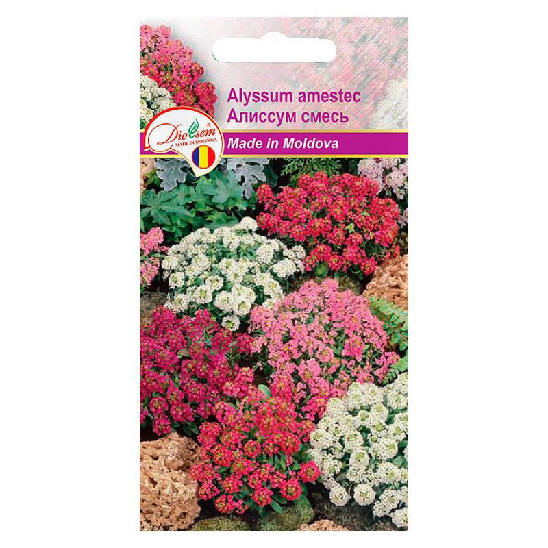 Семена Цветов Euro Alissum Amestec (Алиссум смесь) (0,1гр)