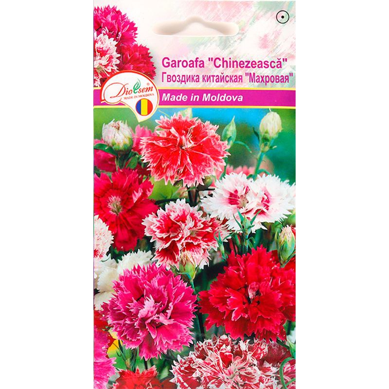 Семена Цветов Euro Garoafa Chinezeasca (0,3гр) (Гвоздика китайская махровая)