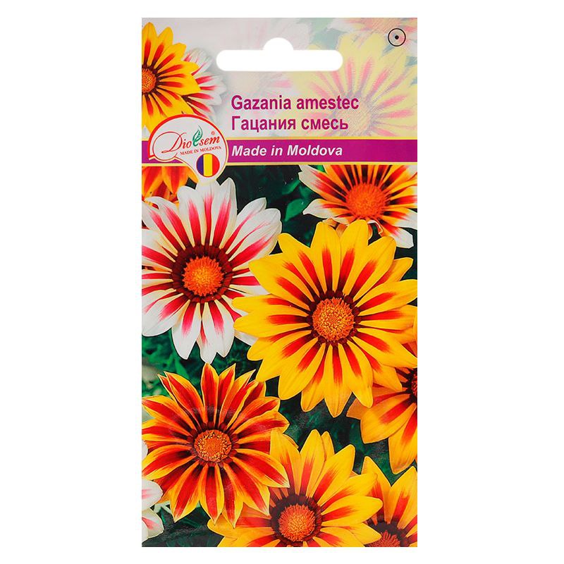 Семена Цветов Euro Gazania Amestic (0,05гр) (Гацания смесь)