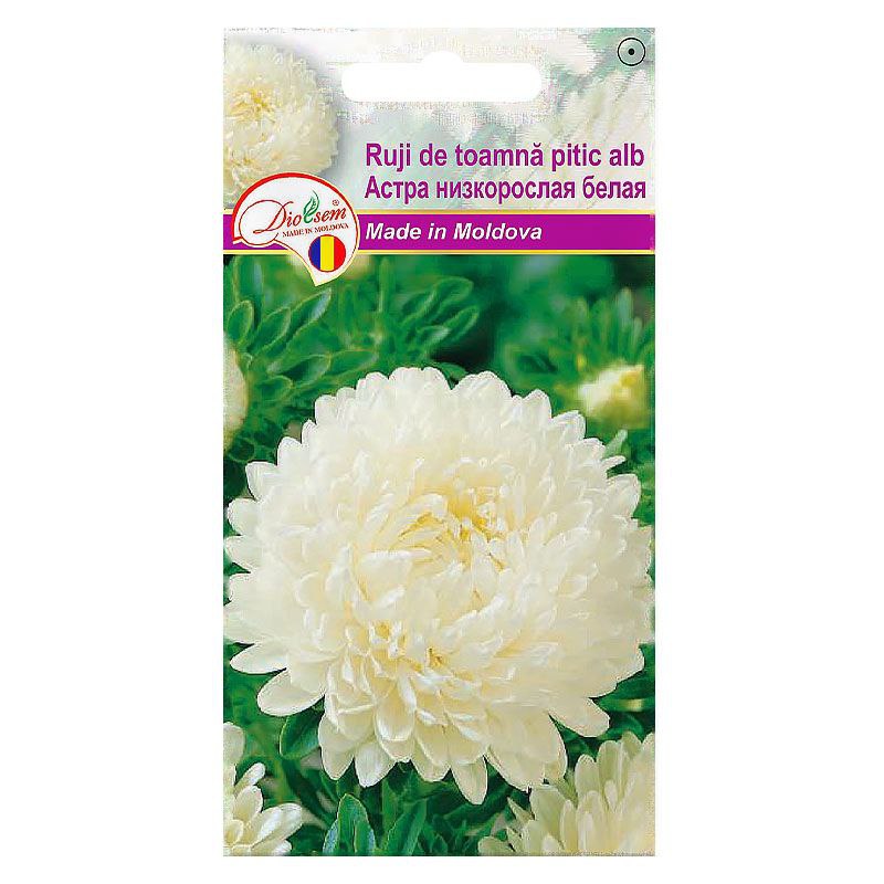 Семена Цветов Euro Ruji de toamna Pitic Alb (Астра нискорослая белая) (0,1гр)