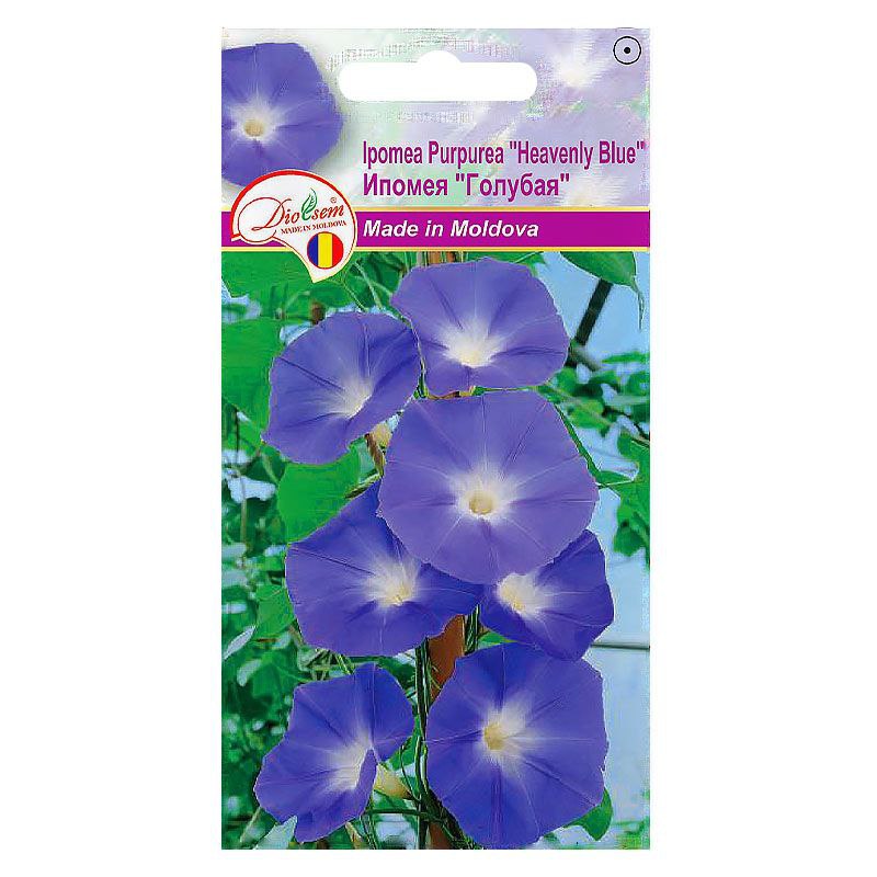 Семена Цветов Ипомея пурпурная Heavenly Blue (1гр)