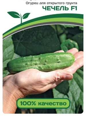 Семена огурца Чечель1гр.
